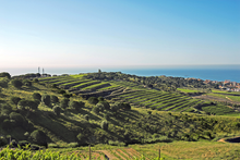 Carregar imatge al visor de la galeria, Selección Territorio Alella