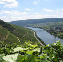 Cargar imagen en el visor de la galería, Tim Roettgerding Riesling Kabinett
