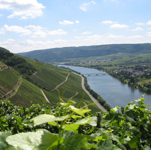 Tim Roettgerding Riesling Kabinett