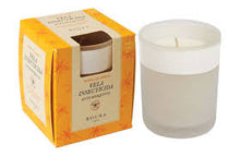 Load image in gallery viewer, Jasmine Aroma Insecticide Glass Candle